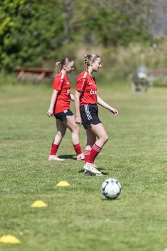 Bild 67 - F SG NieBar - IF Stjernen Flensborg : Ergebnis: 2:0